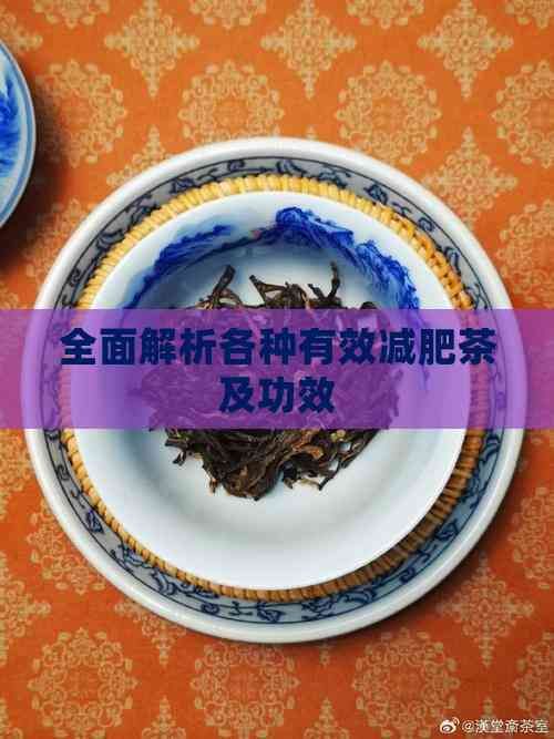 全面解析各種有效減肥茶及功效