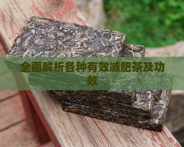 全面解析各種有效減肥茶及功效