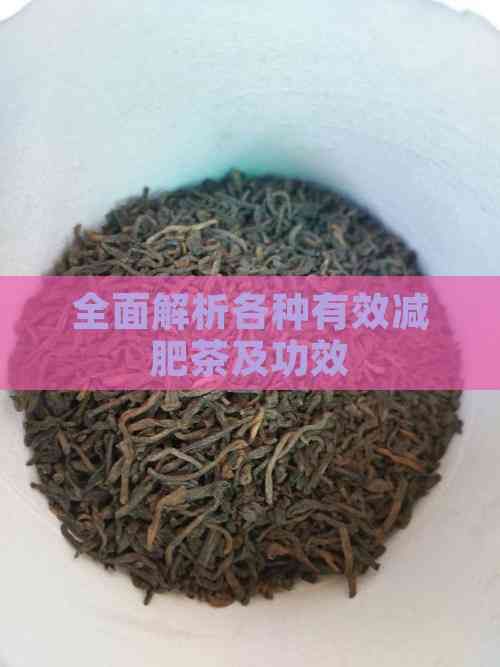 全面解析各種有效減肥茶及功效