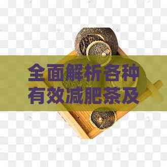 全面解析各種有效減肥茶及功效
