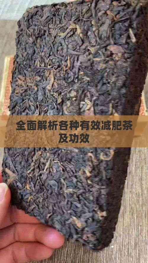 全面解析各種有效減肥茶及功效