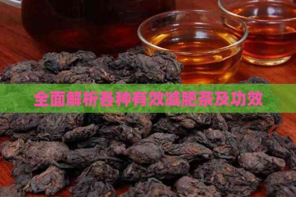 全面解析各種有效減肥茶及功效