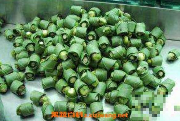 青果檳榔的功效與作用