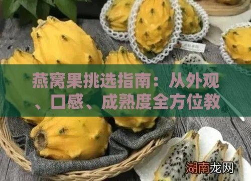 燕窝果挑选指南：从外观、口感、成熟度全方位教你挑选优质麒麟果