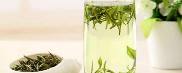 喝什么茶刮油 可以喝什么茶