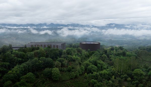 茶馬古窖實景