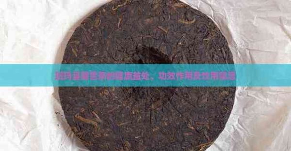 班玛县藏雪茶的健康益处、功效作用及饮用禁忌