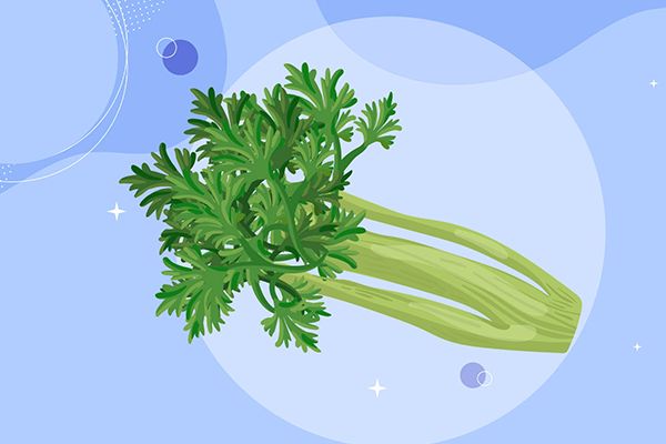 芹菜2.jpg