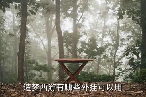 造夢(mèng)西游有哪些外掛可以用