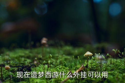 現(xiàn)在造夢(mèng)西游什么外掛可以用