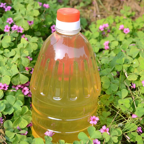 【9xhd.com蜂蜜06】喝蜂蜜水一天喝多少次：农家洋槐蜜天然纯正零添加蜂巢蜜野生槐花蜜土蜂蜜大桶5斤包邮1723