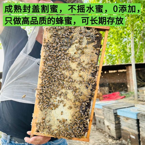 【9xhd.com蜂蜜20】?jī)和确涿鬯?0大禁忌癥:蜂蜜純正天然野生正宗農(nóng)家自產(chǎn)無(wú)添加0蔗糖百花洋槐原蜜2斤送試吃2601