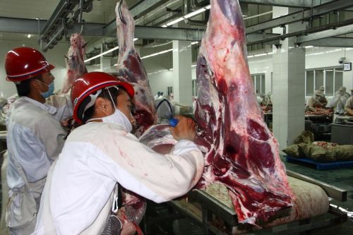 科學減脂新主張：職場女性如何用恒都牛肉重塑健康飲食方程式