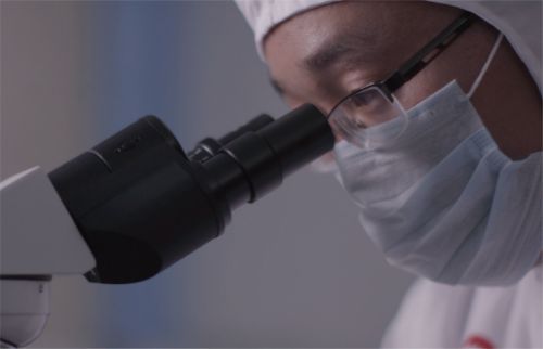 科學減脂新主張：職場女性如何用恒都牛肉重塑健康飲食方程式