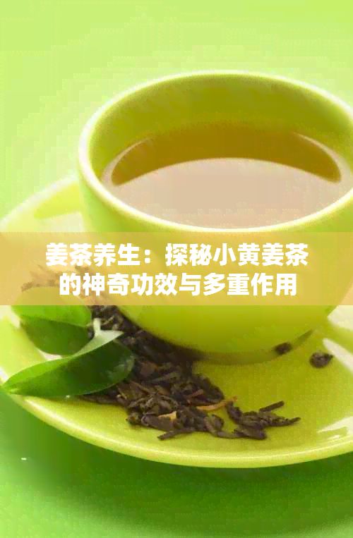 姜茶养生:探秘小黄姜茶的神奇功效与多重作用