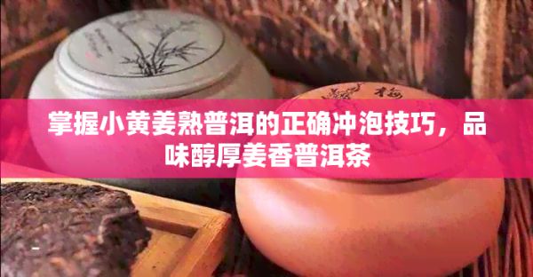 掌握小黄姜熟普洱的正确冲泡技巧,品味醇厚姜香普洱茶