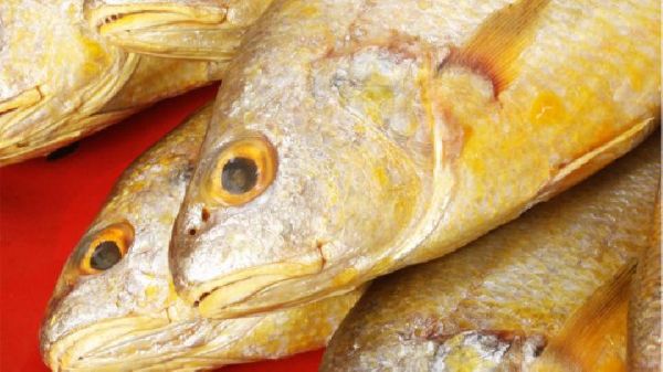 養(yǎng)生喝什么粥好？養(yǎng)生效果最好的粥推薦