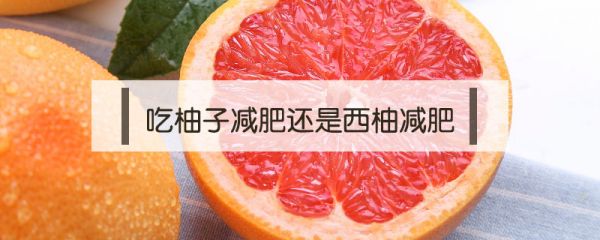 吃柚子減肥還是西柚減肥