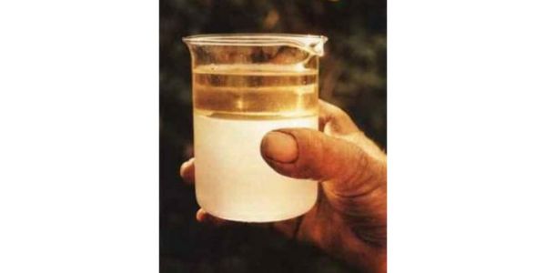 中國生姜精油廠家,精油