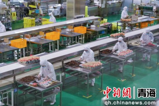 图为可可西里“阳光工厂”。陈珊珊 供图