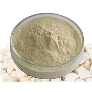 藜麥蛋白粉60%80%