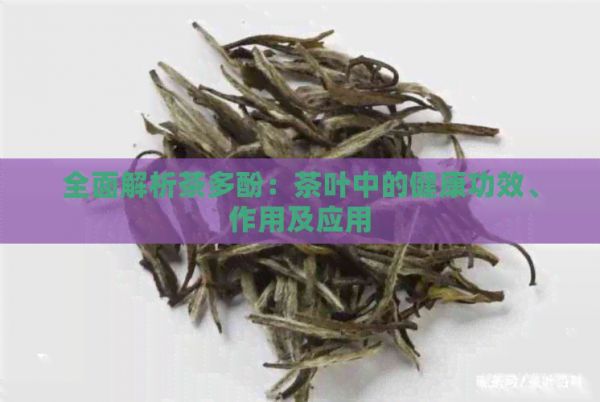 全面解析茶多酚：茶葉中的健康功效、作用及應(yīng)用
