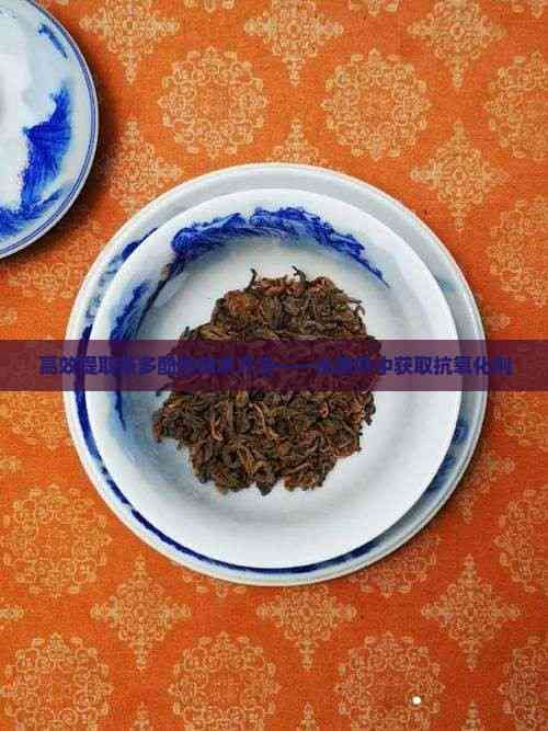 高效提取茶多酚的技術(shù)方法——從茶葉中獲取抗氧化劑