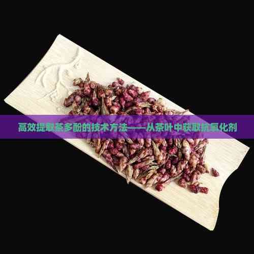 高效提取茶多酚的技術(shù)方法——從茶葉中獲取抗氧化劑