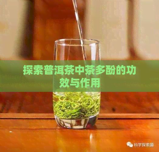 探索普洱茶中茶多酚的功效與作用