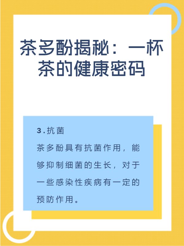 茶多酚揭秘：一杯茶的健康密碼