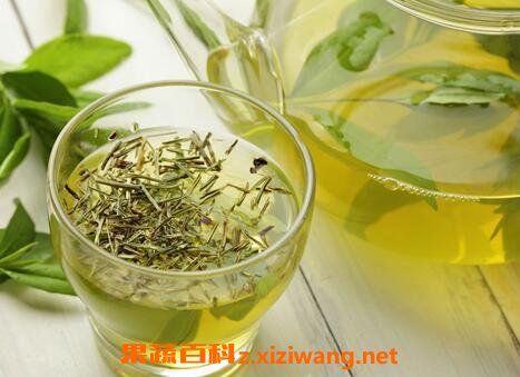 哪些茶含有茶多酚