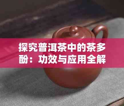 探究普洱茶中的茶多酚：功效與應用全解
