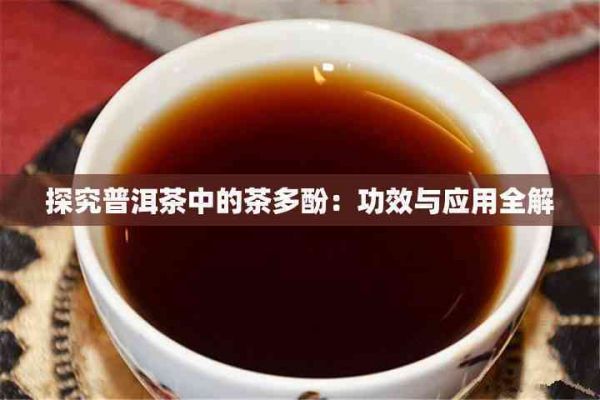 探究普洱茶中的茶多酚：功效與應用全解