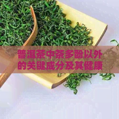 普洱茶中茶多酚以外的關(guān)鍵成分及其健康益處探究