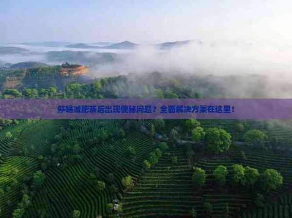 停喝減肥茶后出現(xiàn)便秘問題？全面解決方案在這里！