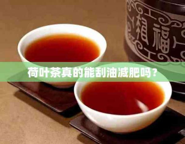 荷葉茶真的能刮油減肥嗎？