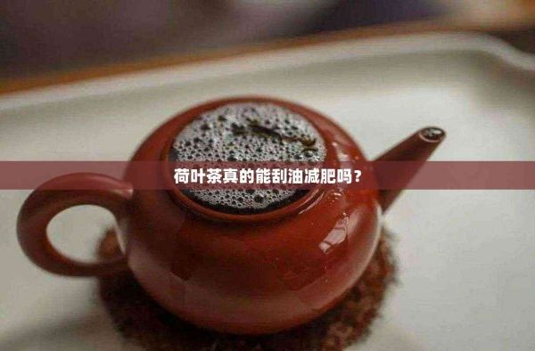 荷葉茶真的能刮油減肥嗎？
