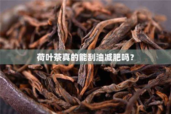 荷葉茶真的能刮油減肥嗎？