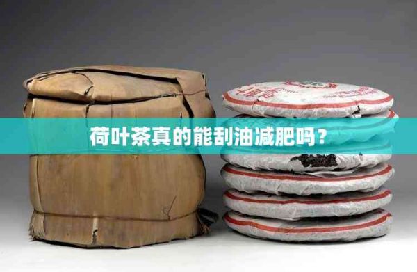 荷葉茶真的能刮油減肥嗎？