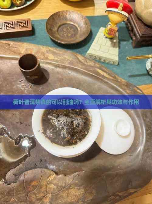 荷葉普洱茶真的可以刮油嗎？全面解析其功效與作用