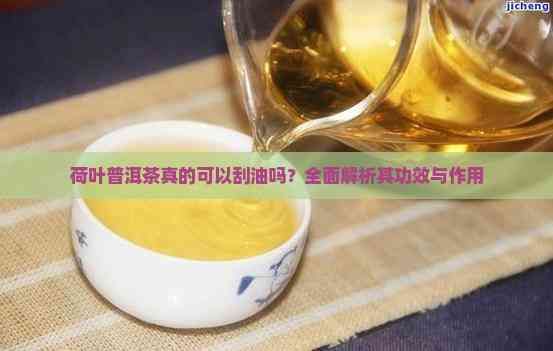 荷葉普洱茶真的可以刮油嗎？全面解析其功效與作用