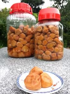 梅子醋可放多久