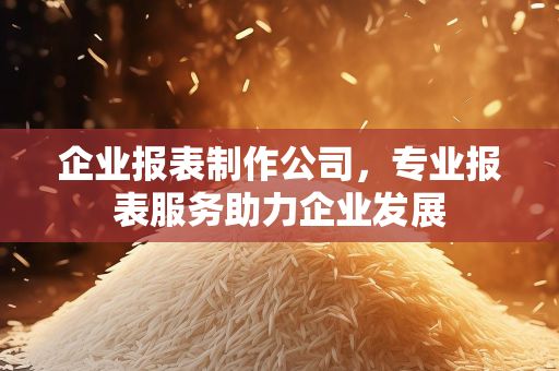 企业报表制作公司，专业报表服务助力企业发展
