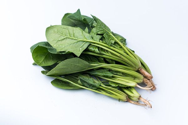 7一12岁营养晚餐食谱