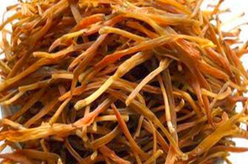 孕婦可以吃金針菜嗎