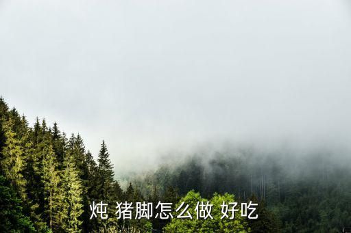燉 豬腳怎么做 好吃