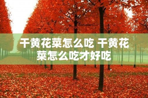 干黃花菜怎么吃 干黃花菜怎么吃才好吃