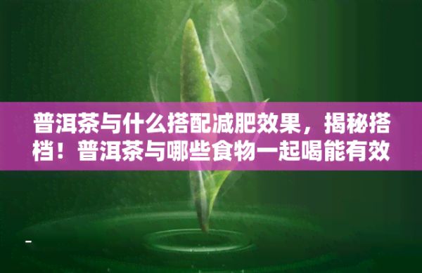 普洱茶与什么搭配减肥效果，揭秘搭档！普洱茶与哪些食物一起喝能有效减肥？