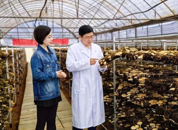 图为中华全国供销合作总社昆明食用菌研究所所长孙达锋介绍“中菌小香蕈1号”的营养价值和栽培技术。（李昱佑 摄）