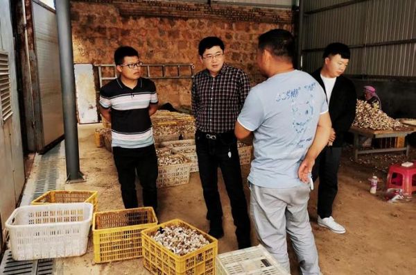 图为孙达锋团队在文山滇珍菌业有限公司调研。（李昱佑 摄）